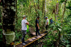 “Queremos uma economia de base florestal que una produção, conservação e conhecimento” 7 52435175255 80ec040cb0 c