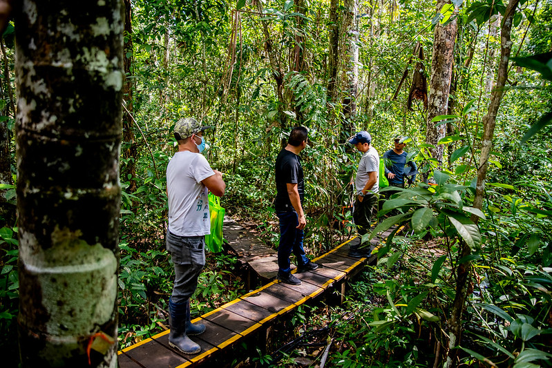 “Queremos uma economia de base florestal que una produção, conservação e conhecimento” 7 52435175255 80ec040cb0 c