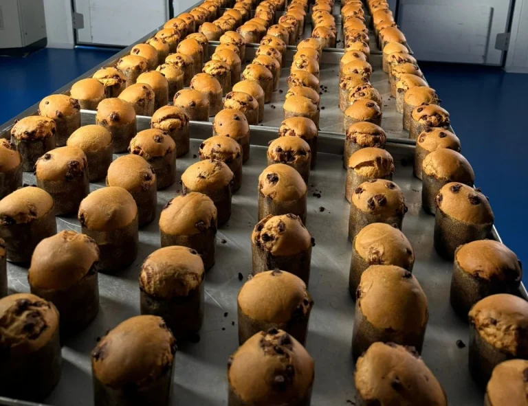 Grupo Nova Era projeta produção recorde de panetones para o Natal de 2025; Meta é 220 mil unidades.