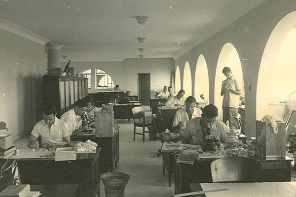 “Queremos uma economia de base florestal que una produção, conservação e conhecimento” 1 foto 4 inpa historica