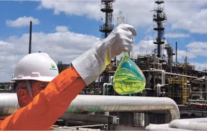 Governo sanciona carvão, blinda petroleiras e veta R$ 6 bilhões em compensação a renováveis 1 governo