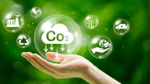 COP30: Pará apresenta caminhos para abordagem jurisdicional de REDD+.