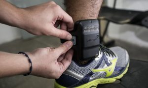 Câmara aprova aumento de prisão temporária de 5 para 15 dias