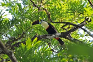 20251212114638 GC00033685 F00115343