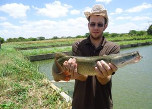 Estudo inovador aplica inteligência artificial na reprodução do pirarucu