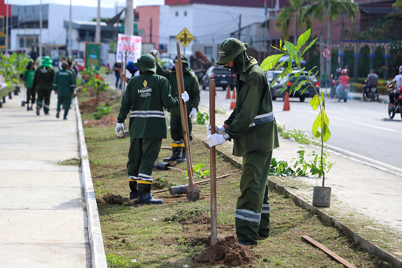 Prefeitura de Manaus realizou o plantio de 30 mil árvores em 2025