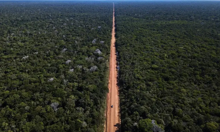 Governo Federal libera licença ambiental do Trecho do Meio da BR-319