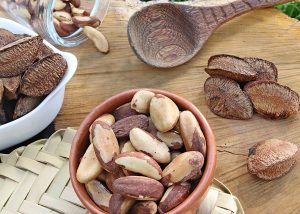 Farinha à base de castanha-do-brasil apresenta teor de proteína 60% superior à de trigo