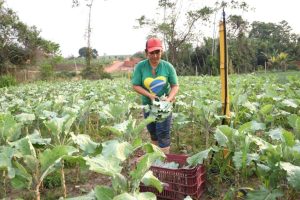 agricultura edital