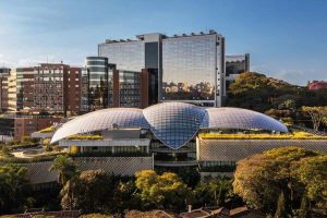 Einstein lança projeto com IA para acelerar diagnóstico da malária na Amazônia 2 Einstein lança projeto com IA para acelerar diagnóstico da malária na Amazônia