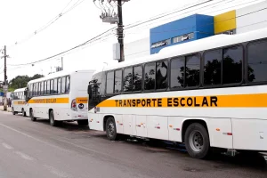 transporte