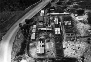 UEA completa 25 anos com contribuições ao Amazonas