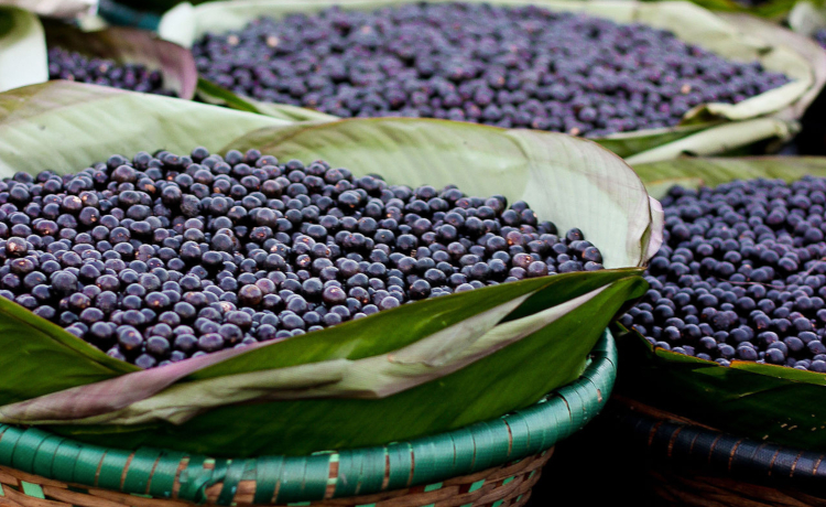 açaí