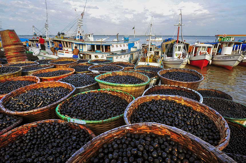 Açaí é reconhecido em lei como fruta nacional