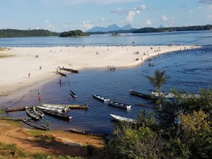 Einstein lança projeto com IA para acelerar diagnóstico da malária na Amazônia 1 Einstein lança projeto com IA para acelerar diagnóstico da malária na Amazônia