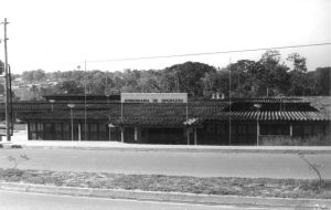 UEA completa 25 anos com contribuições ao Amazonas