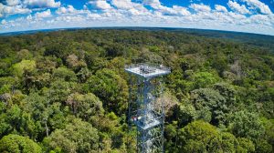 Manaus abre 2026 no ‘Top 5’ dos melhores destinos para viajar no Brasil 1 28a876f5 2b6e 4a4c 863a 488d13961b09