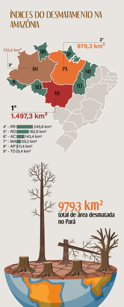 Infografico 01 materia COP 30