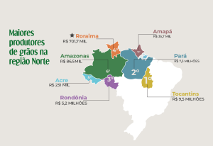Infografico 01 materia SETOR PRIMARIO