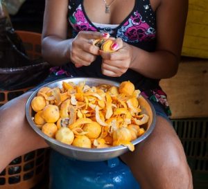 No tucumã, mulheres da Ilha de Cotijuba, no Pará, encontram renda, voz e refúgio 2 No tucuma mulheres da Ilha de Cotijuba no Para encontram renda voz e refugio