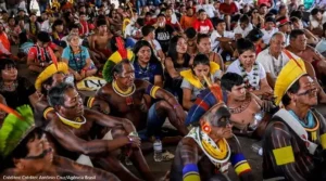 Screenshot 2025 07 25 011055