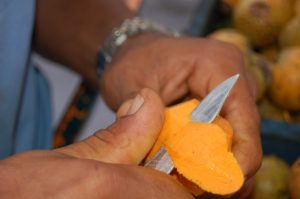 No tucumã, mulheres da Ilha de Cotijuba, no Pará, encontram renda, voz e refúgio 1 No tucumã, mulheres da Ilha de Cotijuba, no Pará, encontram renda, voz e refúgio