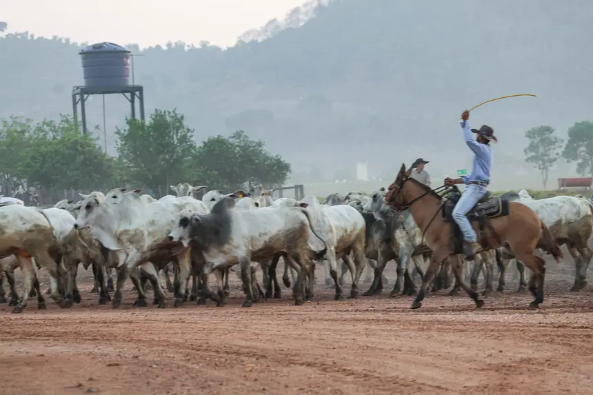 PIB do Pará cresce 7,85% no terceiro trimestre e supera média nacional 1 20250922153619 GF00024929 F00446591