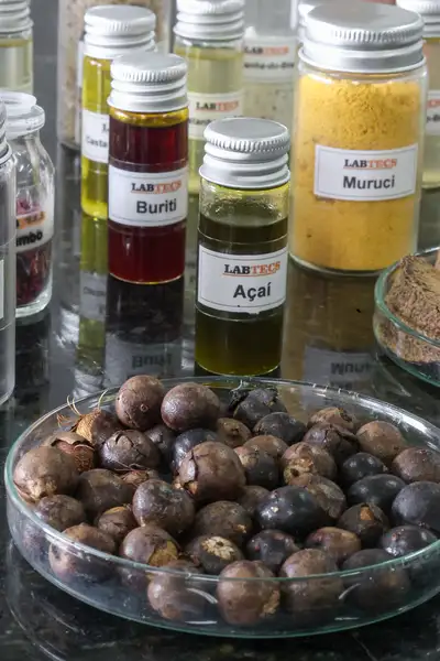 20260316174001 GC00075525 F00294442