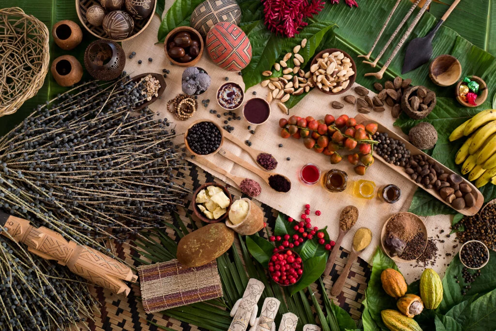 Bioeconomia movimenta R$ 13,5 bilhões e reforça papel da sociobiodiversidade na economia do Pará