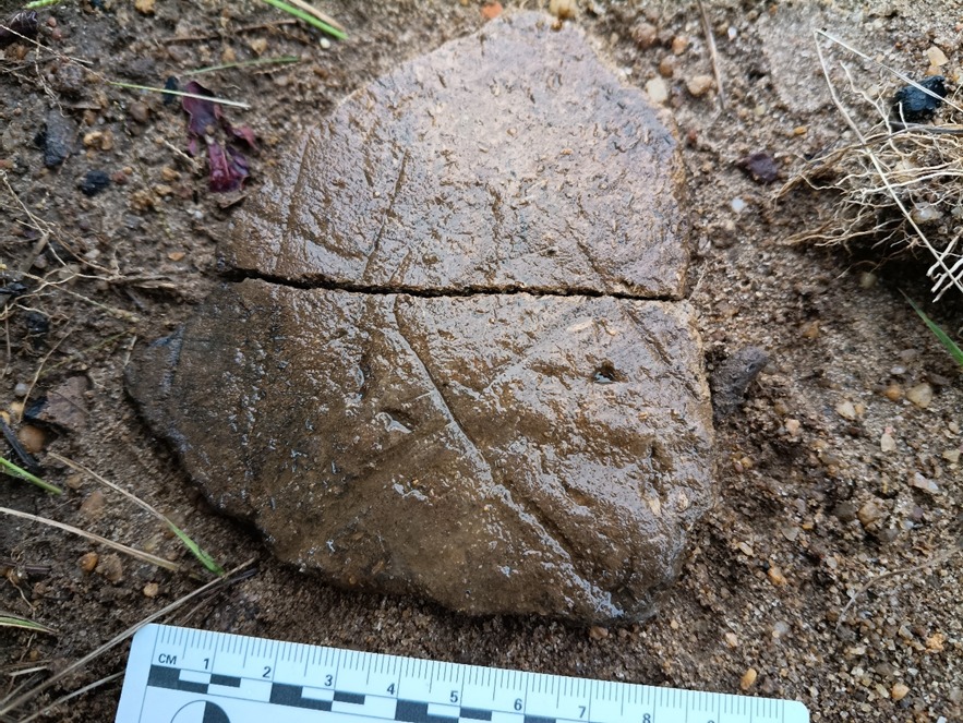 Ceramica japuna foto marcio Amaral