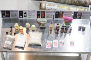 Legado da COP30: Belém ensina como transformar economia extrativista em industrializada 11 Legado da COP30 Belem ensina como transformar economia extrativista em industrializada Creditos CNI 10