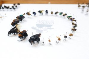 Legado da COP30: Belém ensina como transformar economia extrativista em industrializada 13 Legado da COP30 Belem ensina como transformar economia extrativista em industrializada Creditos CNI 15