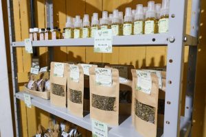 Legado da COP30: Belém ensina como transformar economia extrativista em industrializada 7 Legado da COP30 Belem ensina como transformar economia extrativista em industrializada Creditos CNI 6