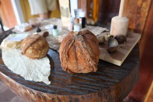 Legado da COP30: Belém ensina como transformar economia extrativista em industrializada 6 Legado da COP30 Belem ensina como transformar economia extrativista em industrializada Creditos CNI 7