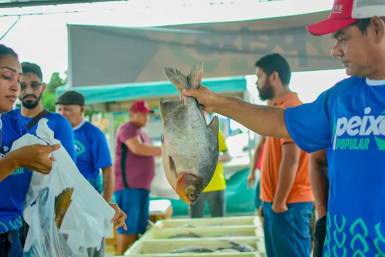 Amapá promove venda de pescado com até 30% de desconto na Semana Santa