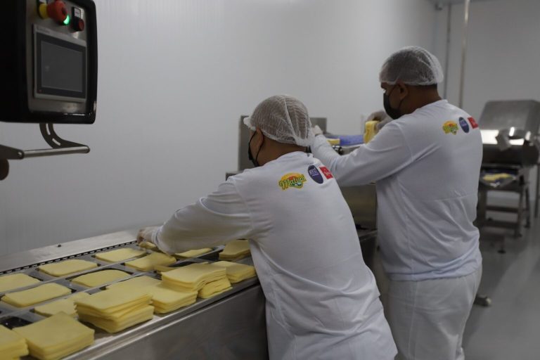 Laticínios Matupi vai instalar fábrica de derivados de leite de búfala na BR-174