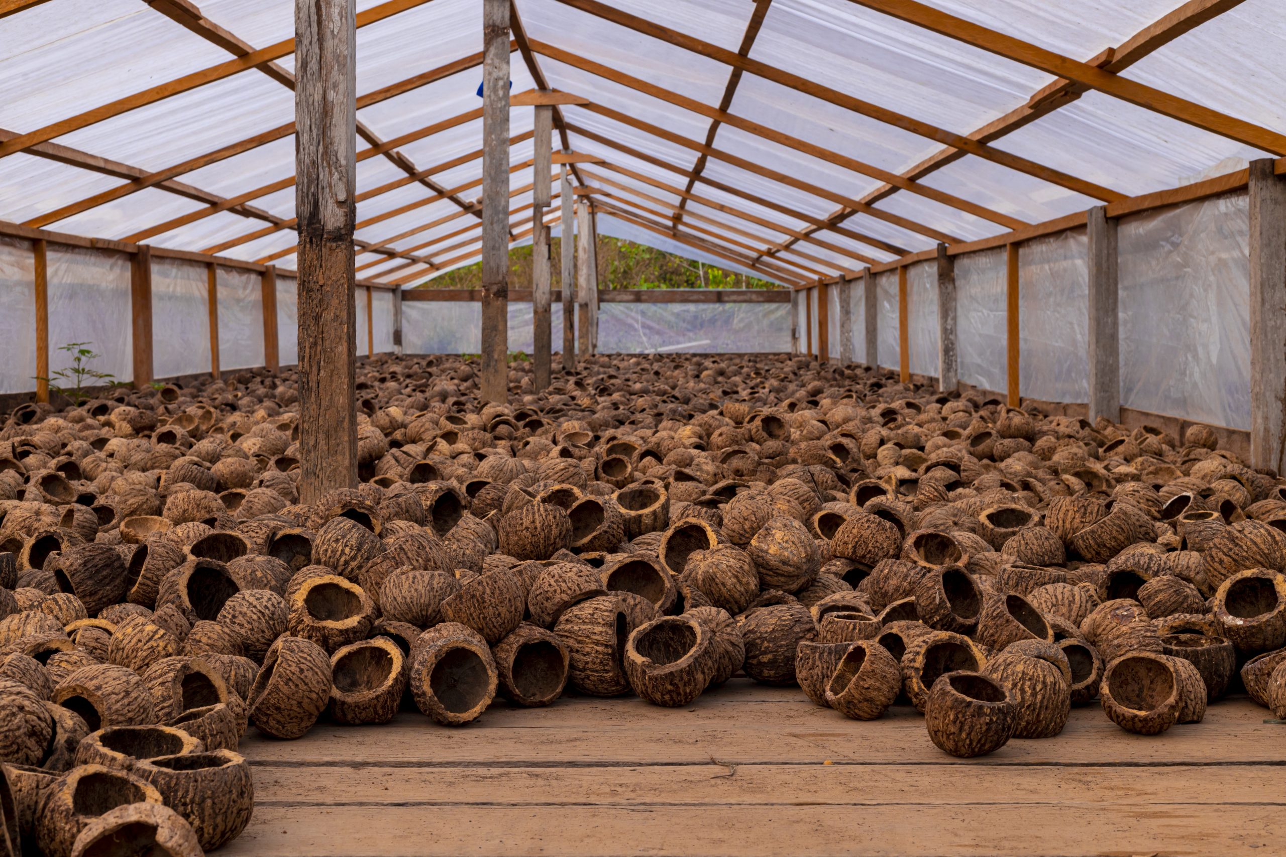 Tutiplast vence Premio Nacional de Inovacao com projeto que integra bioeconomia amazonica a industria plastica 3 scaled