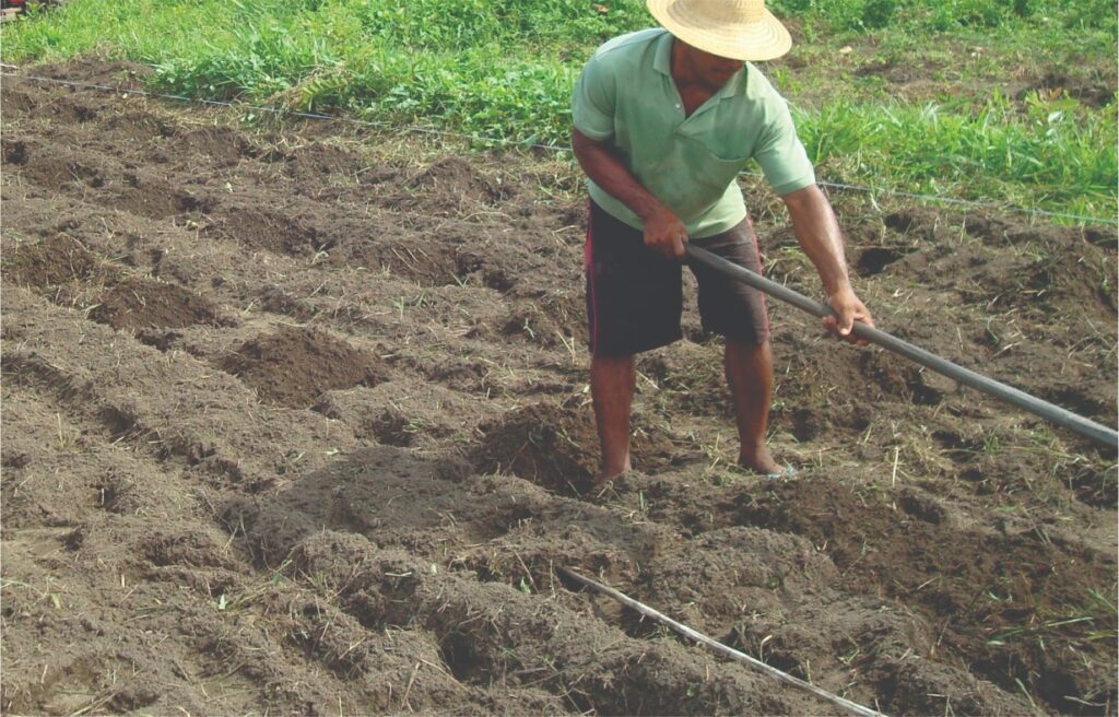 WhatsApp Image 2026 03 19 at 12.58.56