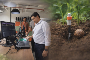 Sensor no solo e “adubo inteligente” ajudam plantas a crescer melhor na Amazônia