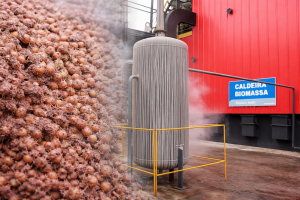 Knauf inaugura primeira caldeira movida a caroço de açaí no Polo Industrial de Manaus