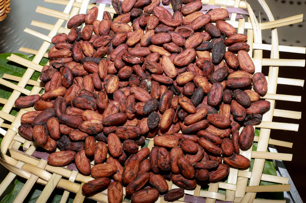 marco gurreiro caucau exportacao incentivo