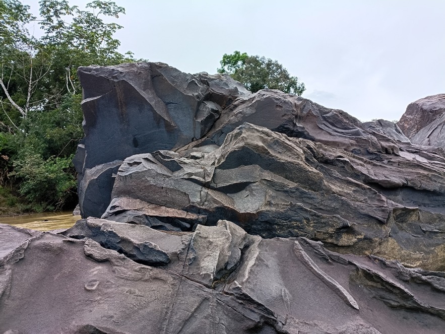 materia prima foto moises moreira