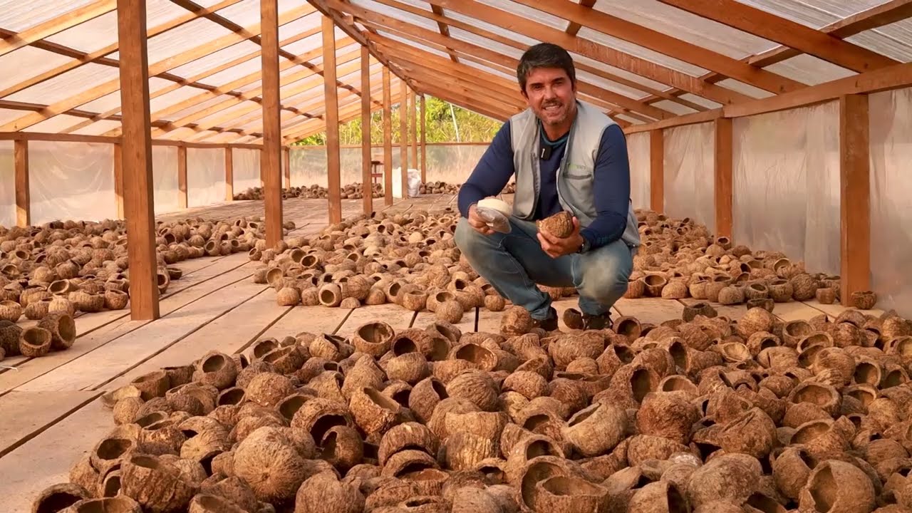 Plástico com fibra amazônica coloca empresa de Manaus entre finalistas de prêmio nacional de inovação