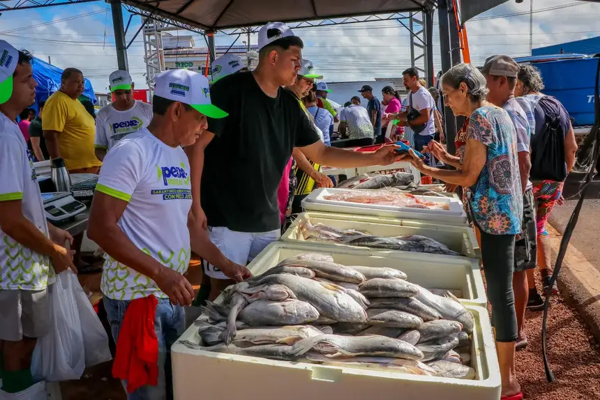 Amapá promove venda de pescado com até 30% de desconto na Semana Santa