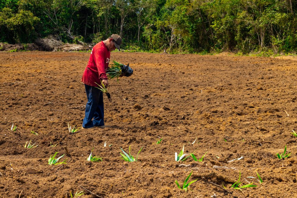 Copia de 3S4A7939 2 1