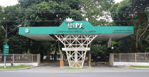 inpa
