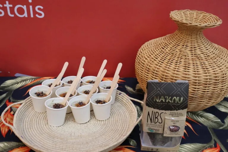 alimento nibs cacau Fotos Fabiola Abess