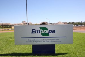 embrapa