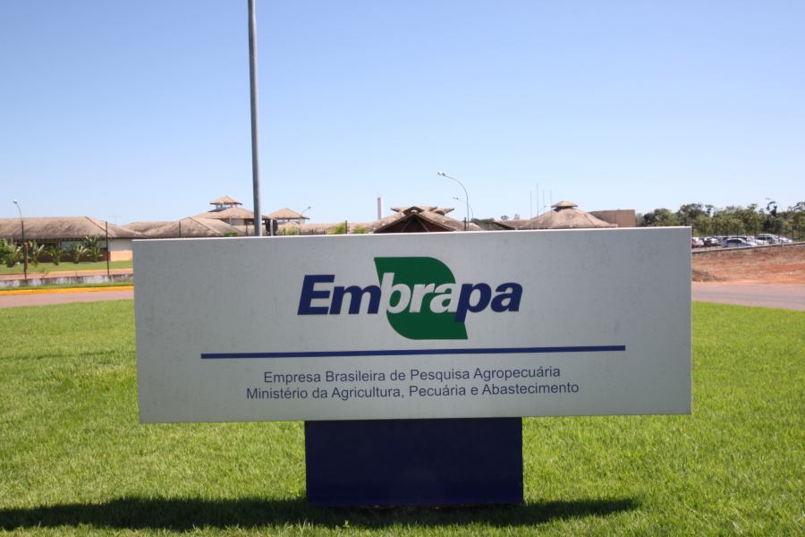 embrapa