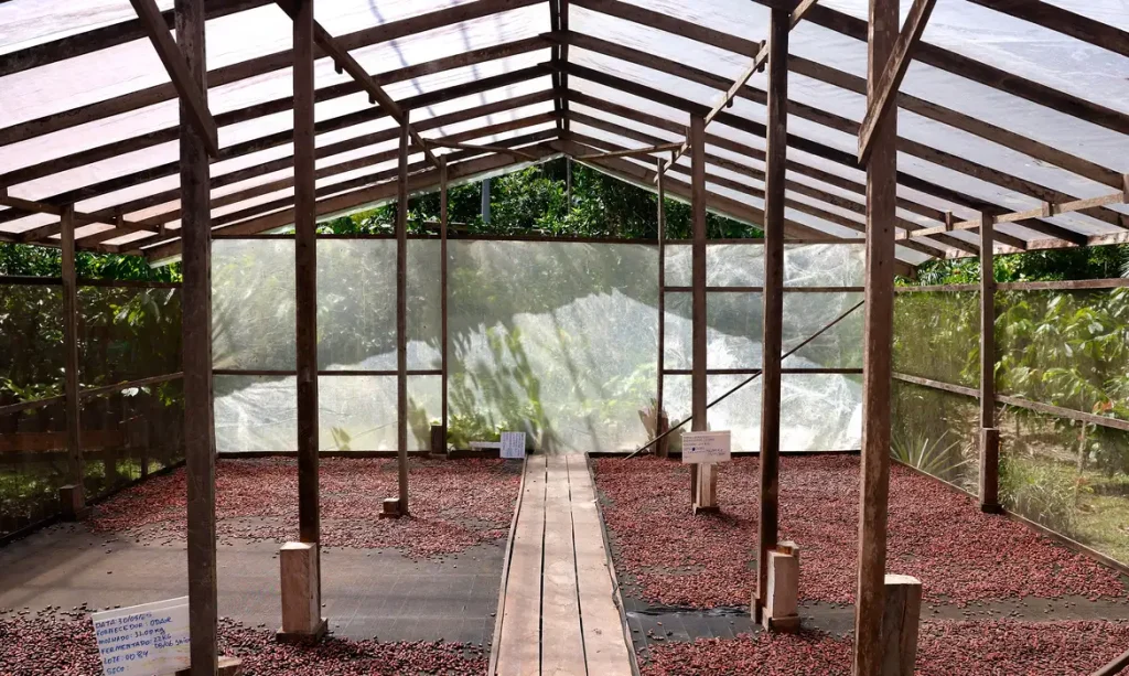 Projeto Rural Sustentável abre inscrições para propostas de inovação em cadeias produtivas da Amazônia 3 projeto